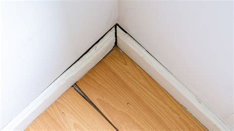 How Much Does It Really Cost To Repair Sagging Floors (And Who Should You Hire)?