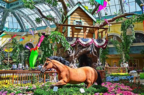 Bellagio Conservatory & Botanical Garden | Plantly