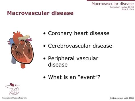 PPT - Macrovascular disease PowerPoint Presentation, free download - ID ...