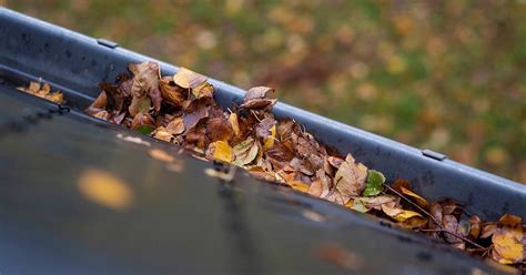 A Guide to Gutter Cleaning for Different Types of Roofs