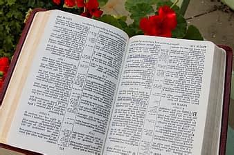 bible, verse, god, pen, holy ghost, holy spirit, text, grass, pink ...