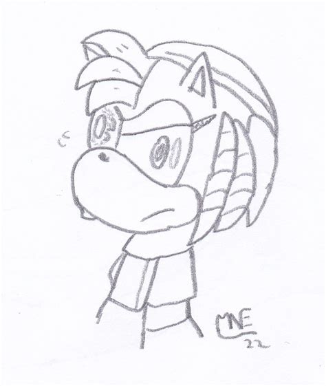 Rusty Rose(from Sonic Prime) by MrNintMan on DeviantArt