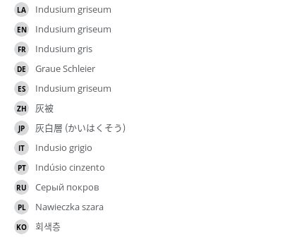 Indusium gris - e-Anatomy - IMAIOS