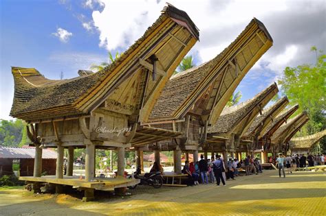 Tongkonan (Rumah Adat Toraja-Sulawesi Selatan) - CHRISTA KASIH