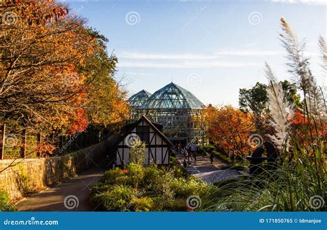 Kobe nunobiki Herb Garden editorial image. Image of autumn - 171850765