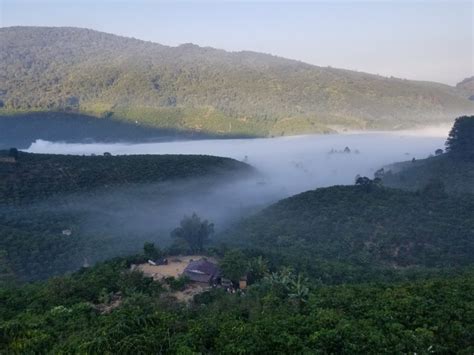 Di Linh Plateau - Vietnam Bird Watching and Wildlife Tours