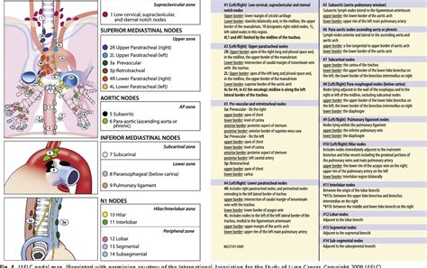 Figure 4 from Staging of lung cancer. | Semantic Scholar