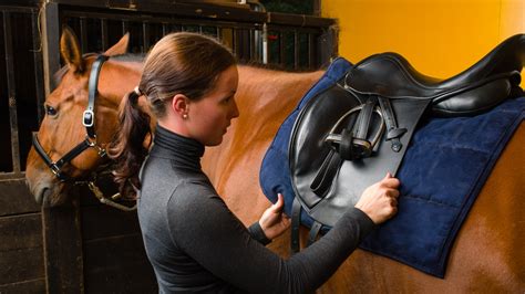 Why Do Horse Blankets Need to be Waterproof? - Woshbox Cleaners