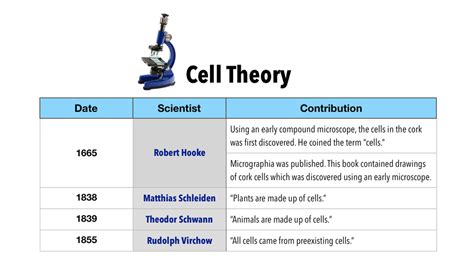 Make a table to summarize the contributions made to the cell | Quizlet