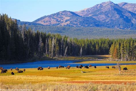 Interesting facts about Yellowstone National Park | Just Fun Facts