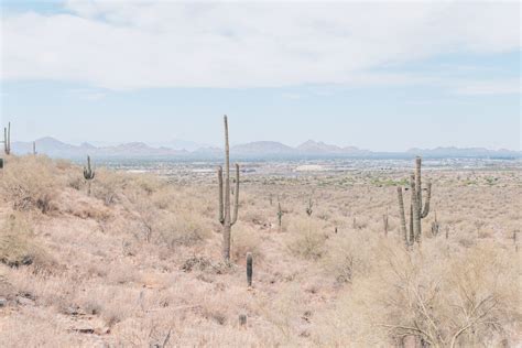 The Best Scottsdale Hiking Trails to Reconnect With Nature | 2023