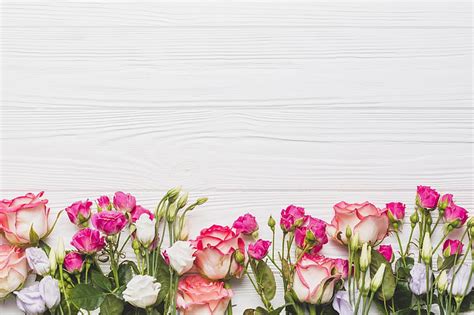 HD wallpaper: Flowers, Background, Roses, Eustoma | Wallpaper Flare