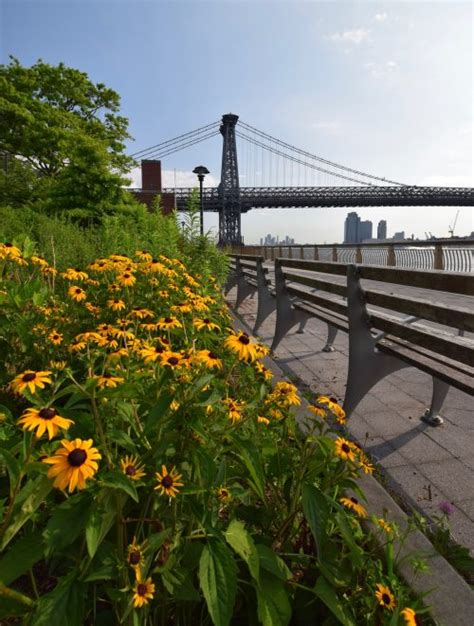 Williamsburg Bridge – Photos by Steve Kremer