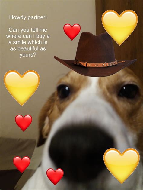 Howdy beautiful person :) | /r/wholesomememes | Wholesome Memes | Know Your Meme