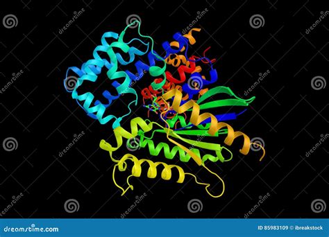 Guanine Nucleotide-binding Protein G(k) Subunit Alpha, a Protein Stock ...