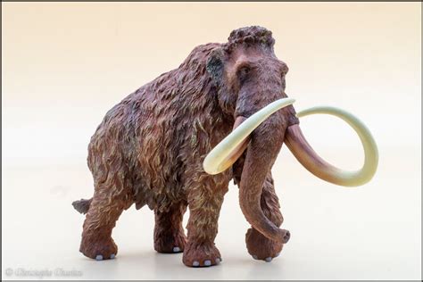 Woolly Mammoth (TNG) – Dinosaur Toy Blog