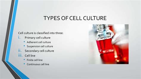 Types of cell culture