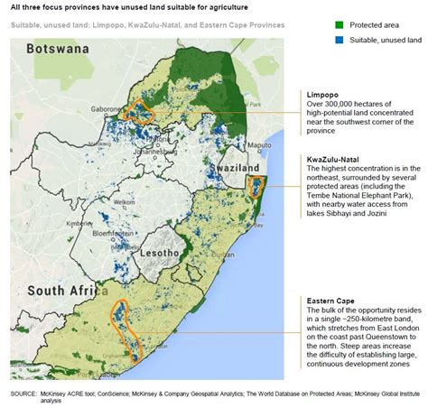 Growth and Jobs in South Africa’s Agricultural Sector | Wandile Sihlobo