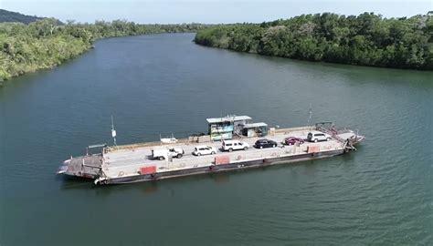 Stop the Daintree River Bridge: an open letter - Rainforest 4