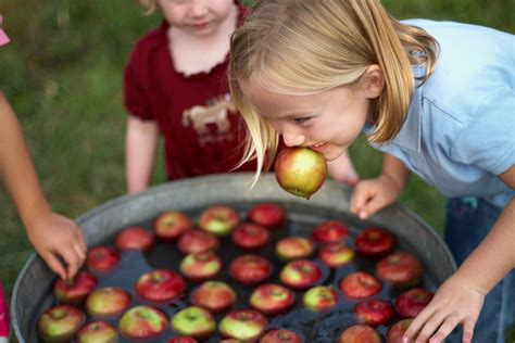 Why Do We Bob for Apples on Halloween? | Martha Stewart