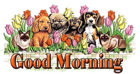 Good Morning – Dogs Animation - Good Morning Wishes & Images