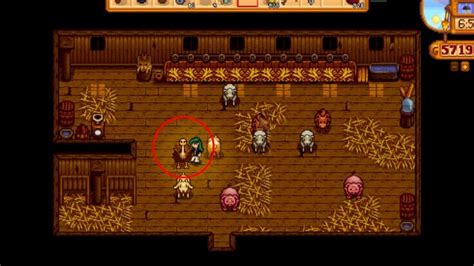 Best Animal in Stardew Valley (Ranked)- Full Guide 2022