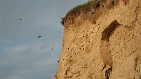 Beaches and coastlines | Geopark Det Sydfynske Øhav