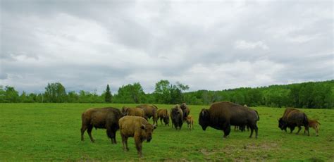 A guide to types of farms | Hello Homestead