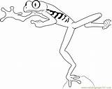 Red Eyed Tree Frog Jumping Coloring Page For Kids  Free Printable sketch template