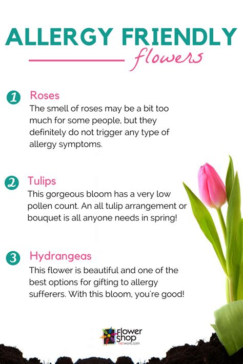 Having allergies does not mean you have to miss out on enjoying the ...