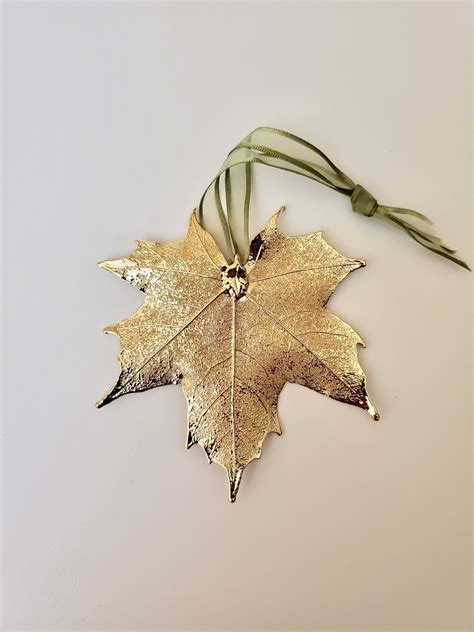 Gold Leaf Sugar Maple | Smokeshire Design