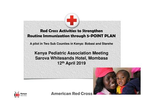 PPT - Red Cross Activities to Strengthen Routine Immunization through 5-POINT PLAN PowerPoint ...