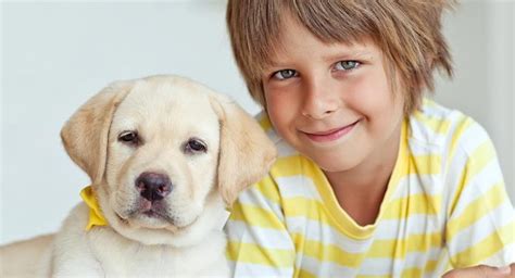 Dogs And Kids - How To Play With A Dog Safely