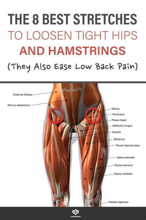 Muscle Tightness In Back Of Legs | RealmInfo