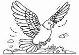Free Printable Pigeon Coloring Pages For Kids sketch template