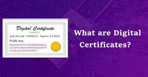 Advantages and Disadvantages of Digital Certificates