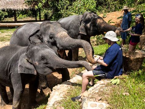 About us - Phang Nga Elephant Park