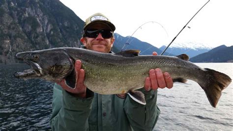 Bull Trout - BC Fishing Reports | Pemberton Fish Finder