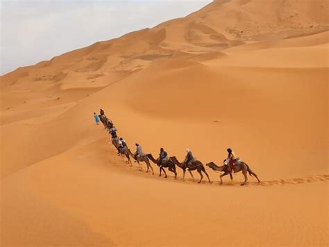 OASIS VOYAGES (Ouarzazate) - All You Need to Know BEFORE You Go