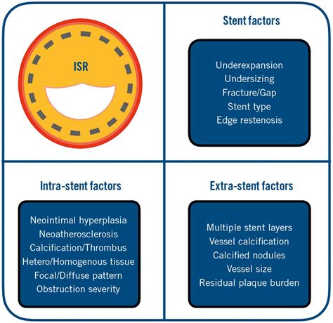 Management of in-stent restenosis - EuroIntervention