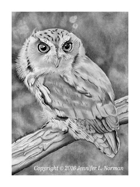 Eastern Screech Owl Art Owl Art Prints Owl Wall Art Owl | Etsy