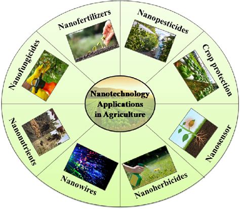 Applications of Nanotechnology in Agriculture. | Download Scientific ...