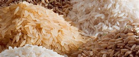 Going With the Grains – Rice – Bread Beckers