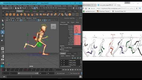 Walk Cycle in AUTODESK MAYA 2017 (Full Tutorial) - YouTube