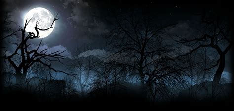 night 1080p high quality 1883x900 | Children of the forest, Night pictures, Spooky woods