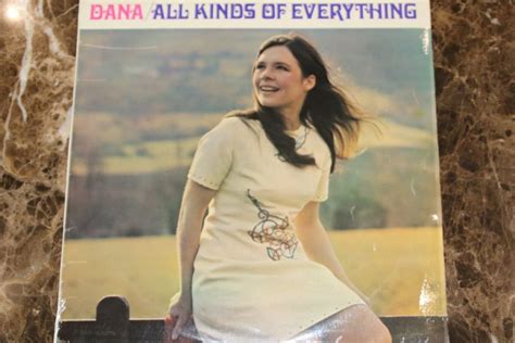 Dana - All Kinds Of Everything (VG) - Mr Vinyl