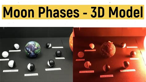 Phases of the moon 3D model | moon phases working model | #diyasfunplay ...