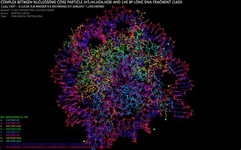 Structure: protein visualization screensaver for Mac OS X