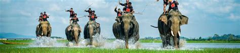 11 Malaysia Wildlife Tour Package - Malaysia Wildlife Tours