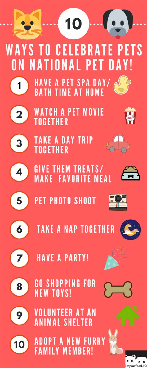 10 Ways to celebrate pets on National Pet day! - ImpurrfectLife in 2021 | National pet day, Pet ...